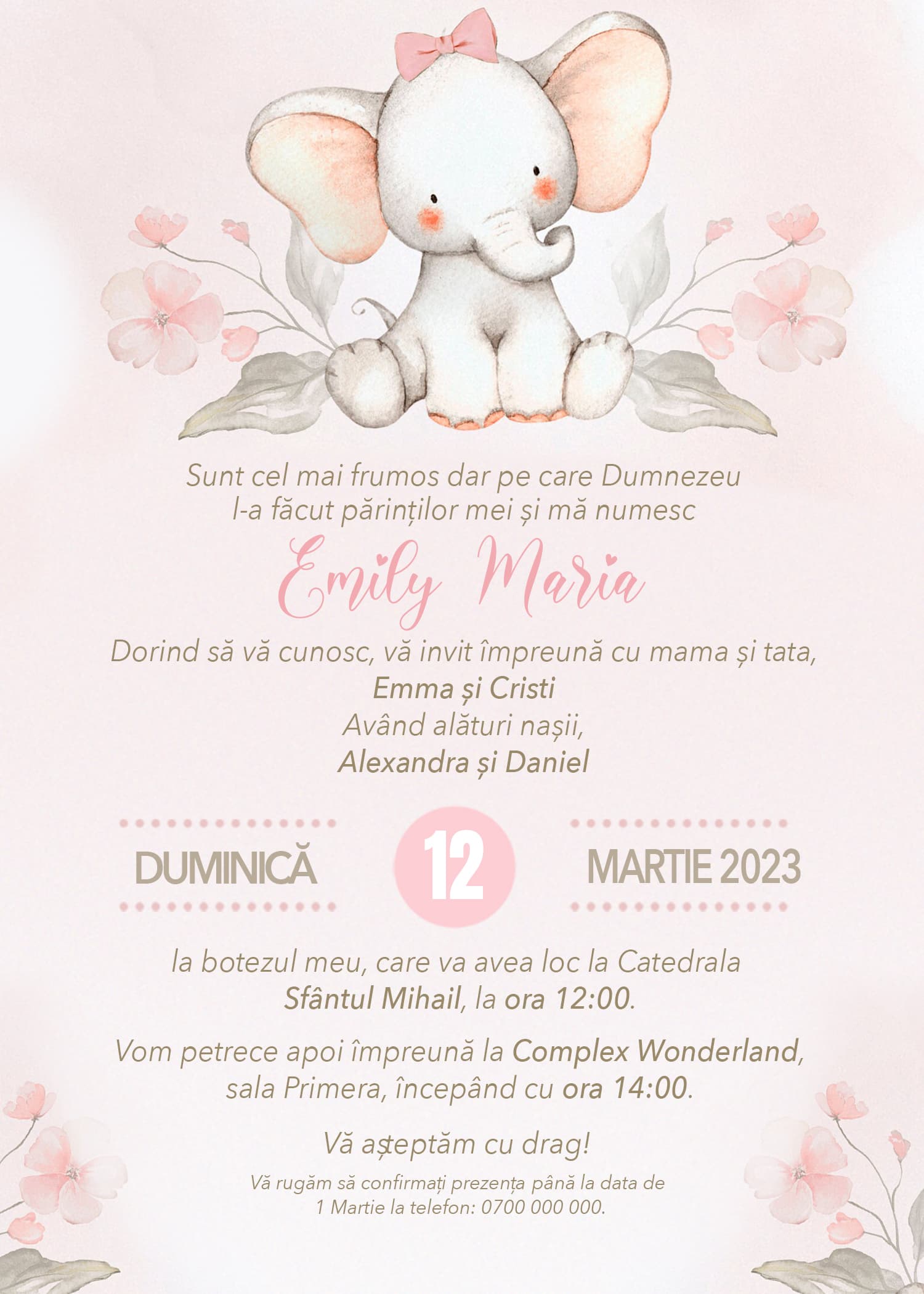 Baby Elephant Girl - Invitație Digitală botez
