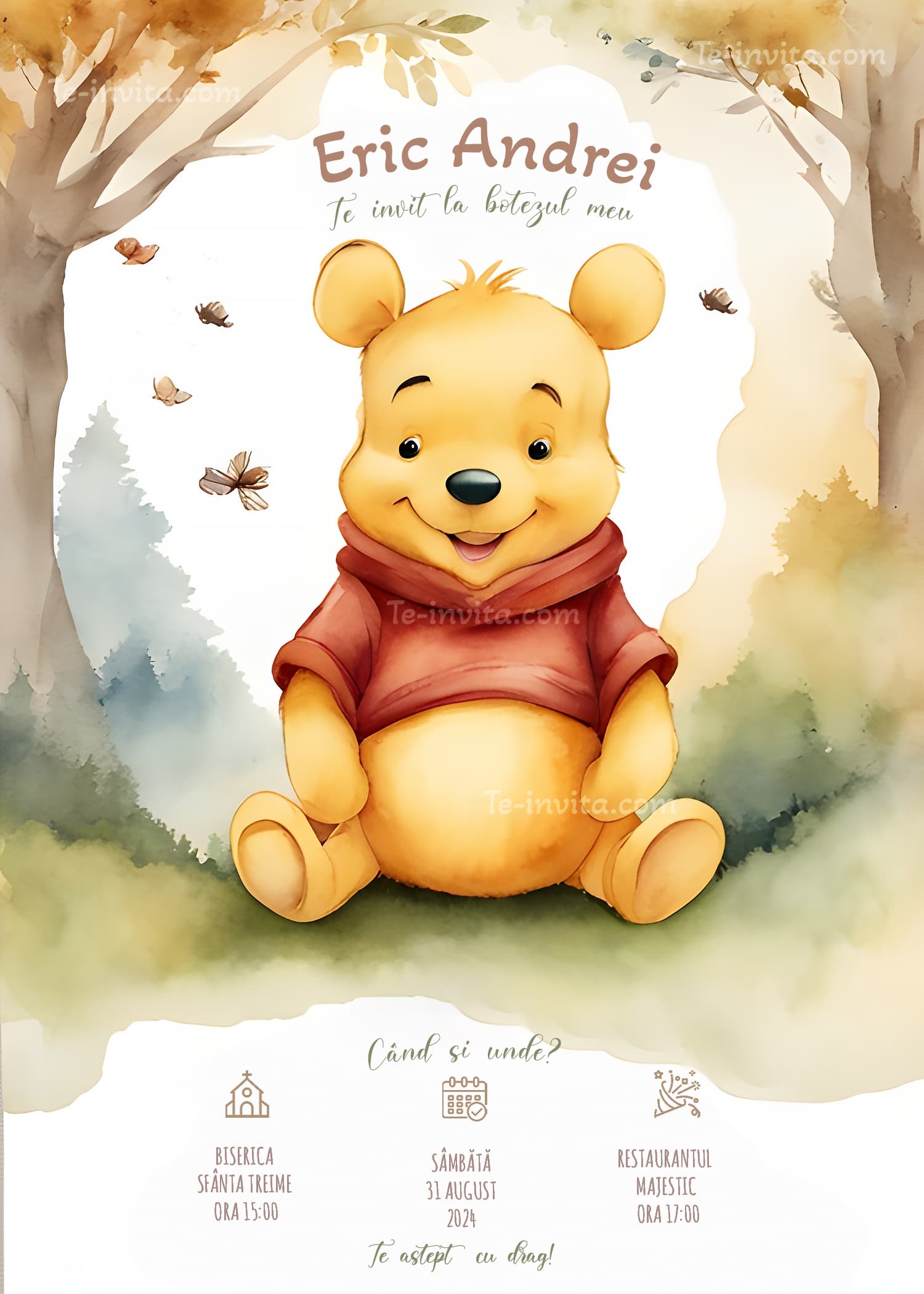 Happy Winnie The Pooh - Invitație Digitală botez