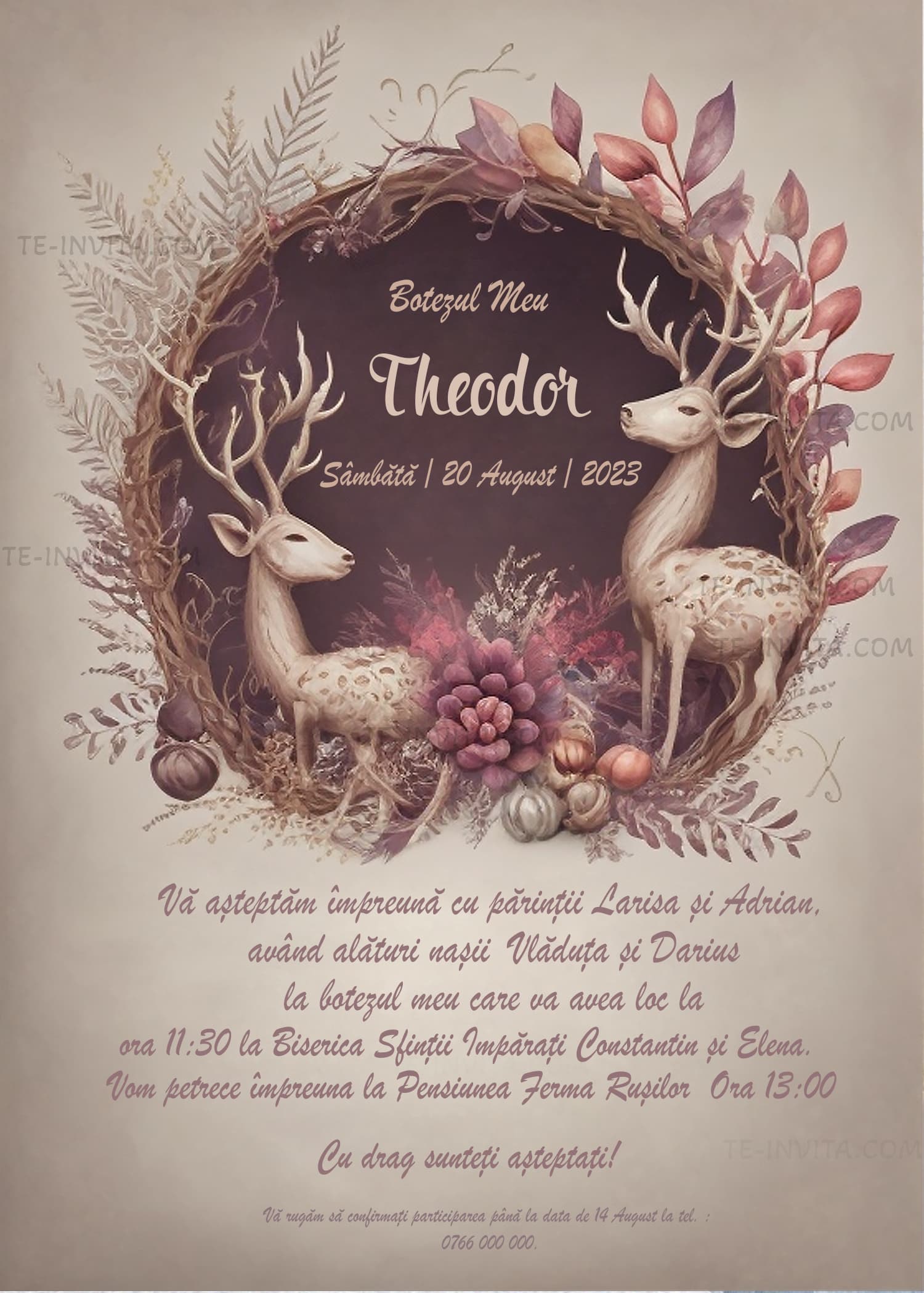 Invictus - Invitație Digitală botez