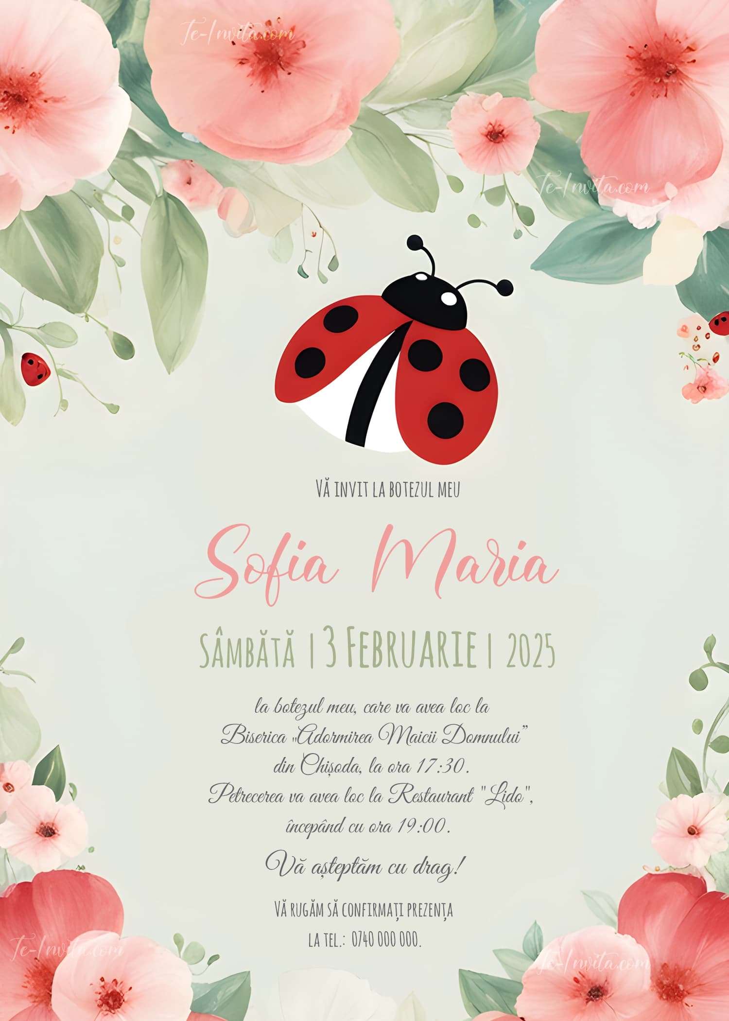 Ladybug - Invitație Digitală botez