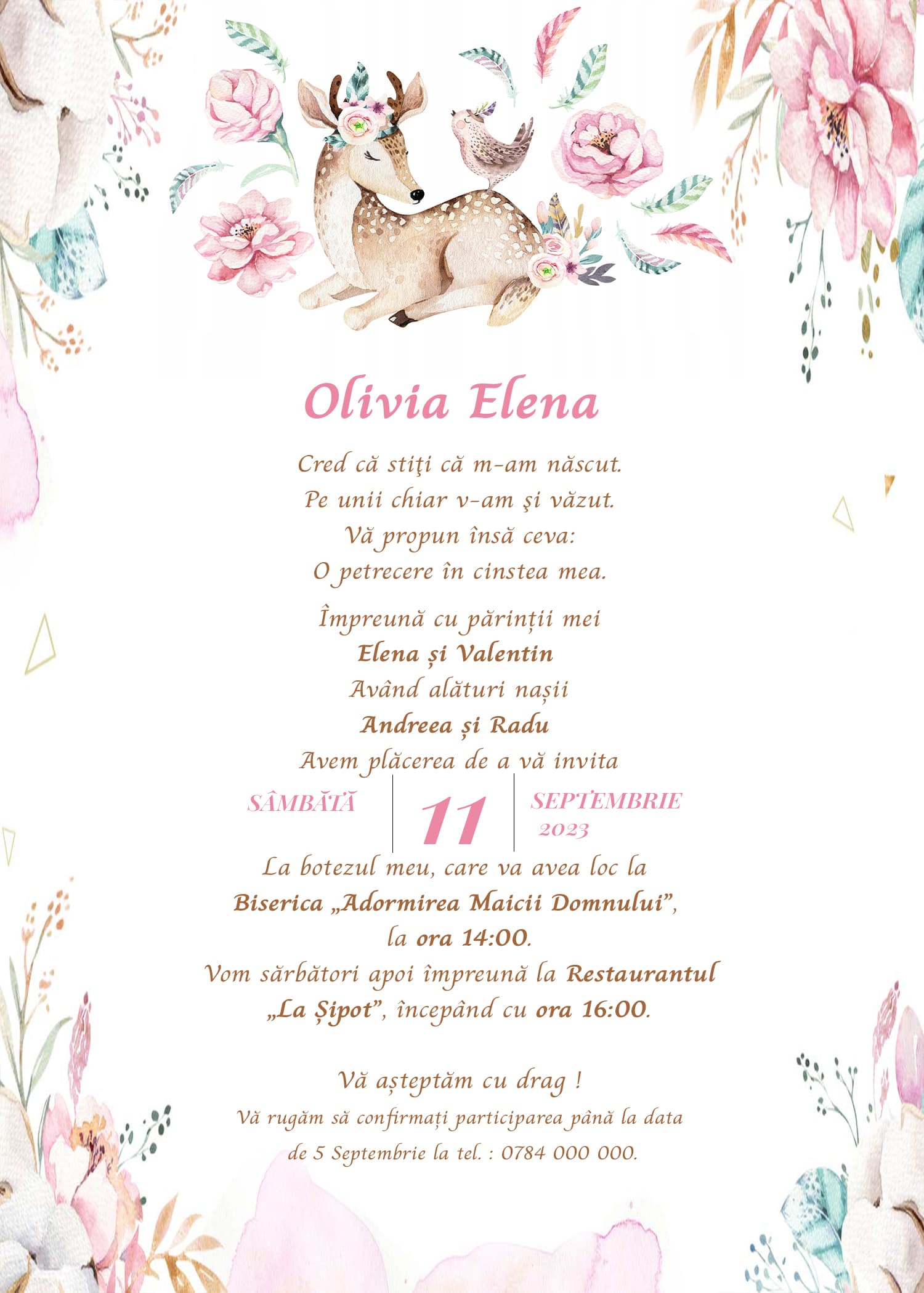 Moment - Invitație Digitală botez