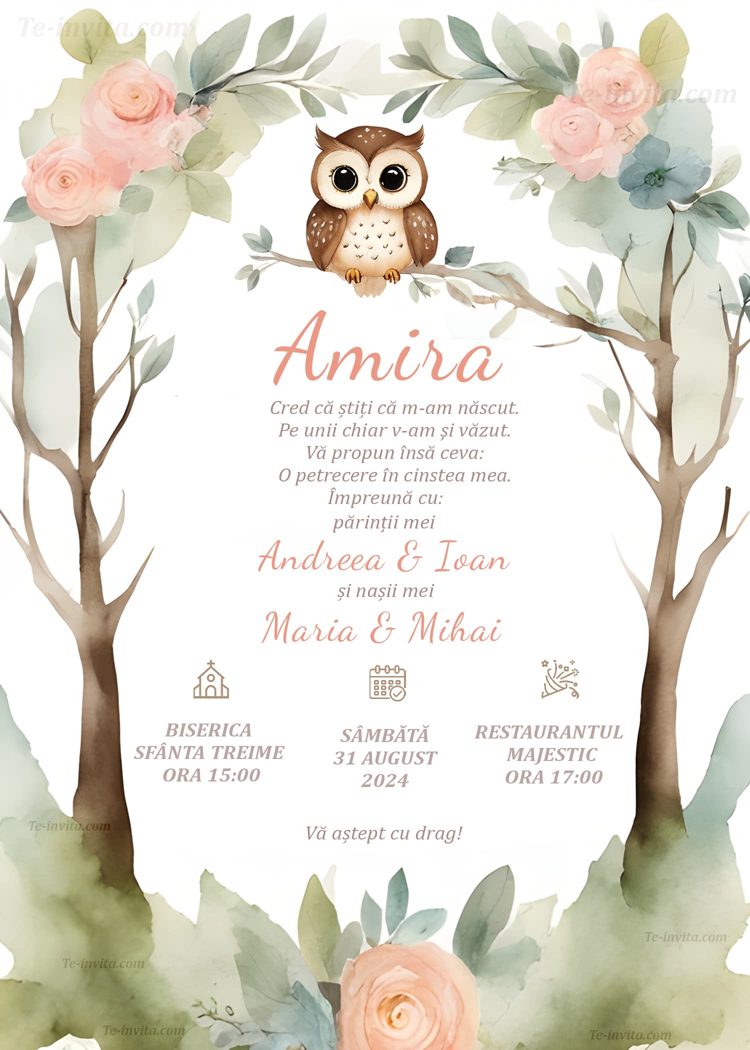 Sweet Owl - Invitație Digitală botez