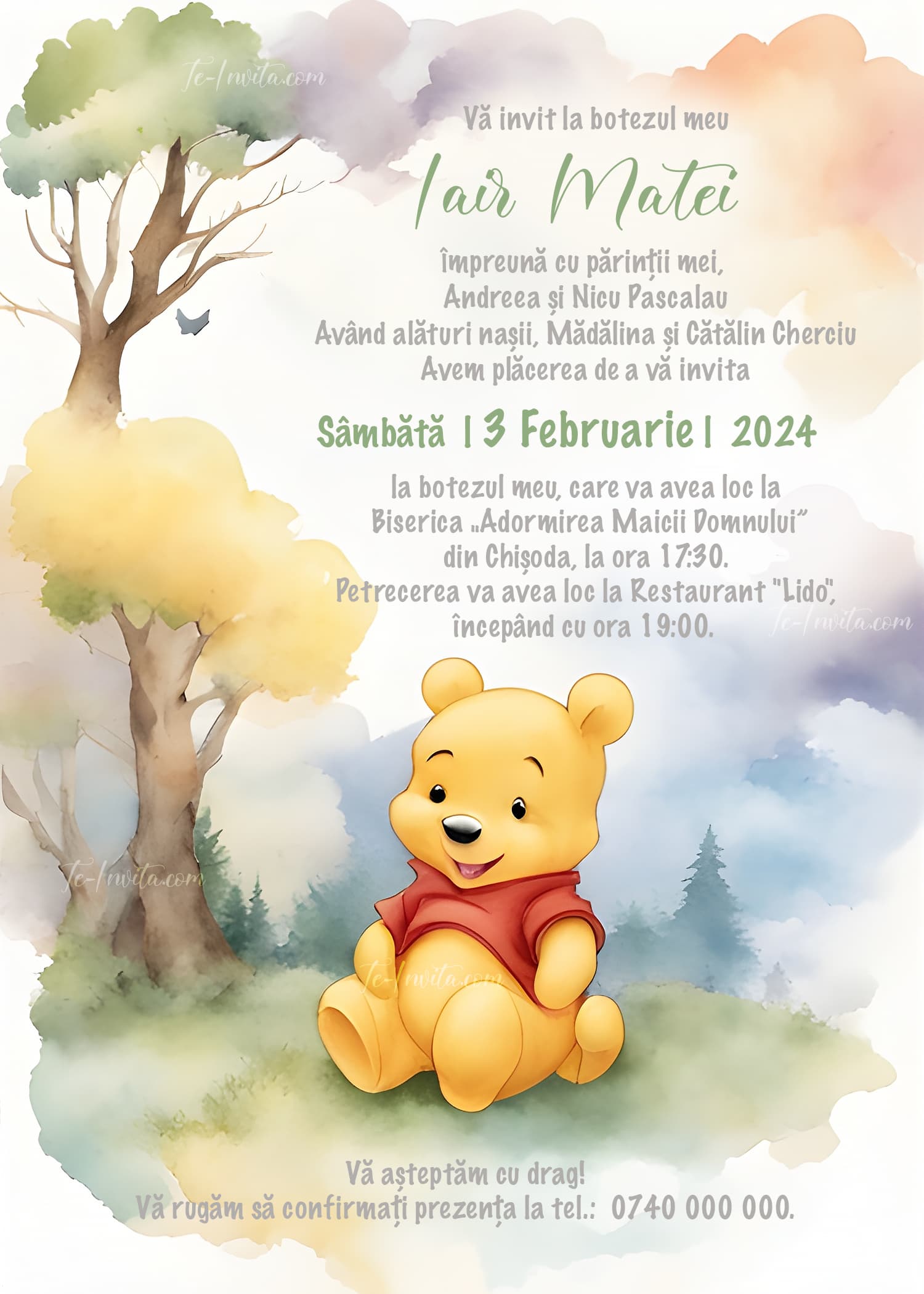 Winnie In The Forest 1 - Invitație Digitală botez